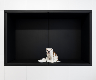 Neuhäusl Hunal studio creates a multifunctional interlocking environment
Neuhäusl Hunal工作室创造了一个多功能的连锁环境