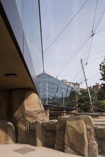 Studio Farris 雷竞技下载链接Architects：安特卫普动物园的新空间