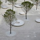 C + 雷竞技下载链接S Architects在威尼斯·莱托的Piazza del Cinema开展了城市干预