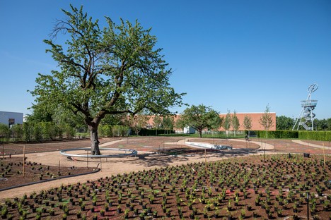 Piet Oudolf设计了莱茵河畔威尔维特拉校区的多年生花园