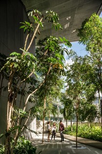 KPF的18座罗宾逊摩天大楼：新加坡城市上空的绿色露台