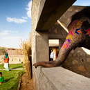 RMA建雷竞技下载链接筑师，Hathigaon的大象及其看护人的住房