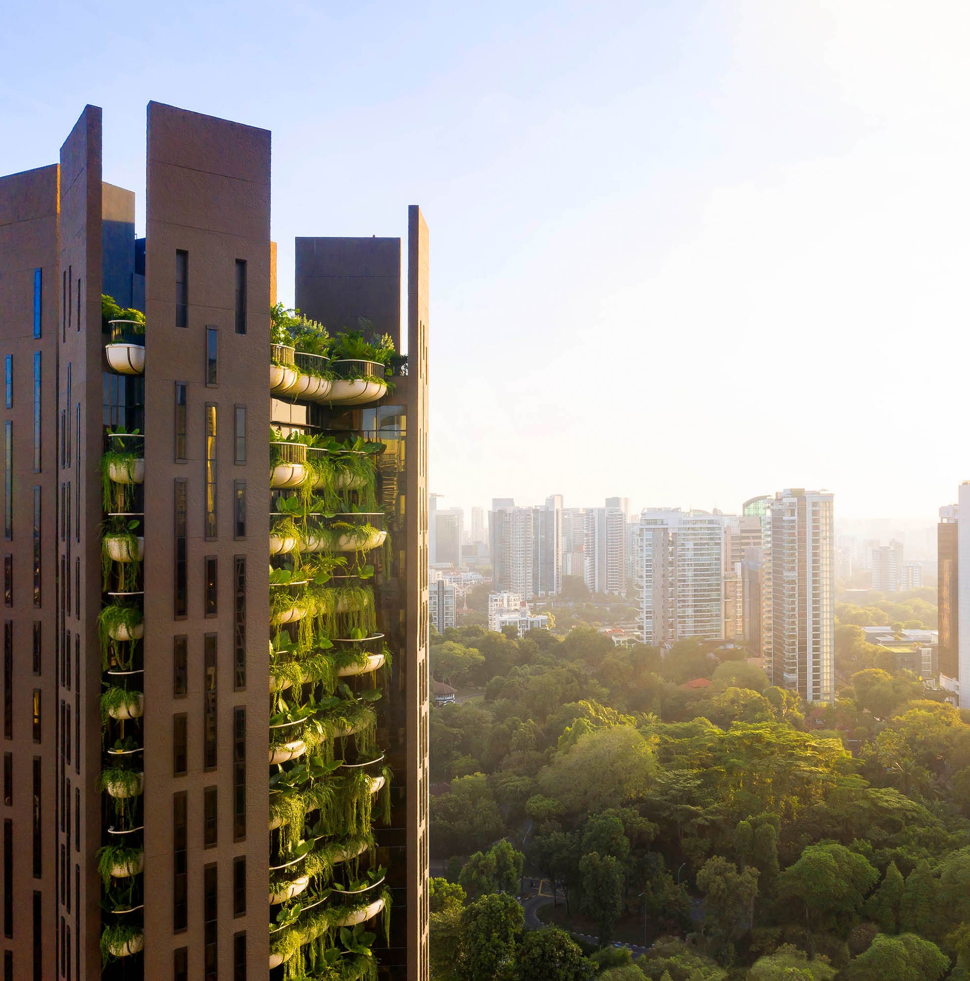 希瑟威克（Heatherwick）的伊甸园（Eden），这家工作室在新加坡的第一个住宅项目