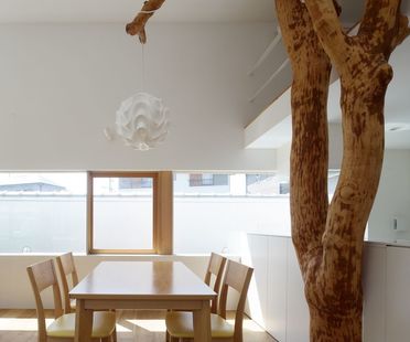 小川:香川有树的房子里的自然和建筑#raybet官网