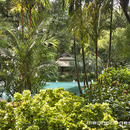 曼谷奈勒特公园的迷人花园