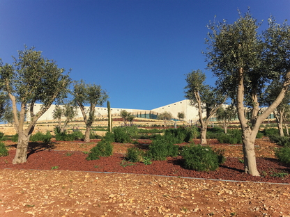 巴勒斯坦博物馆，由Heneghan Peng在Birzeit设计