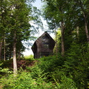 YH2森林中的一间小屋