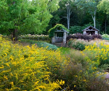 Insitu Garden，康涅狄格州可持续绿色的土地形态