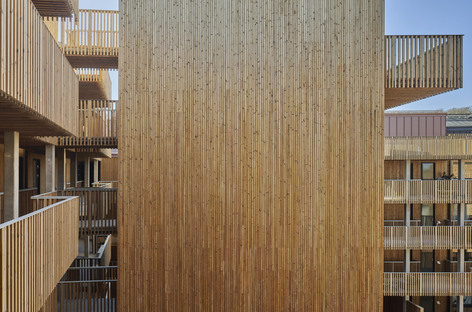 Bornstein Lyckefors的Qvillestaden，木材的可持续住房