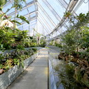 全球植物温室:一个可持续的植物收藏