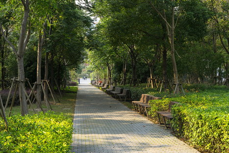 绿肺：Sasaki的Jiadding公园