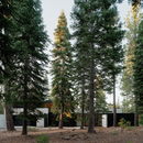 Faulkner建筑师的森林房子，住在树林里雷竞技下载链接