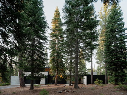 福克纳建筑师的森林之家，住在森林里雷竞技下载链接