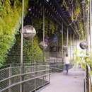 Woha设计了迪拜世博会的真正绿色亭子2020