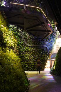 WOHA为2020年迪拜世博会设计了一个真正的绿色展馆