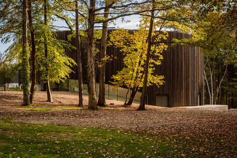 Seilern Architects的Timber外雷竞技下载链接观'新惠灵顿学院文化季度